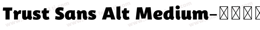 Trust Sans Alt Medium字体转换